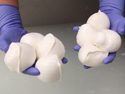 Mozzarella